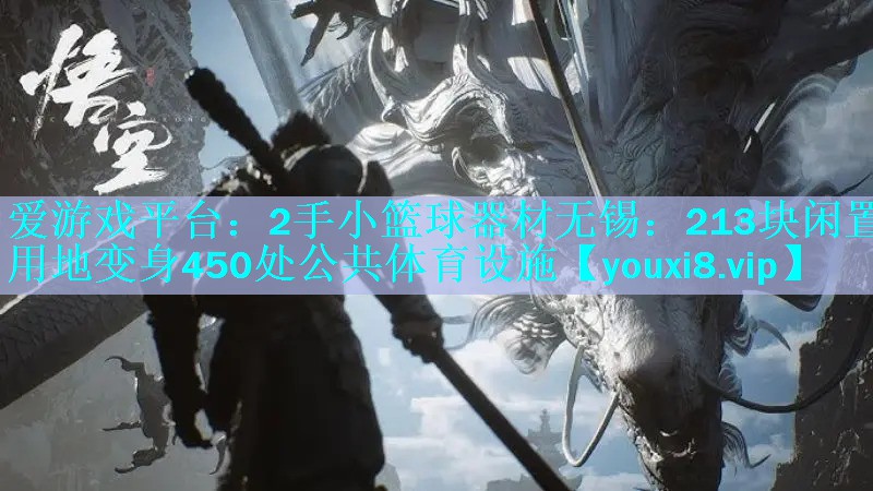 爱游戏平台：2手小篮球器材无锡：213块闲置用地变身450处公共体育设施