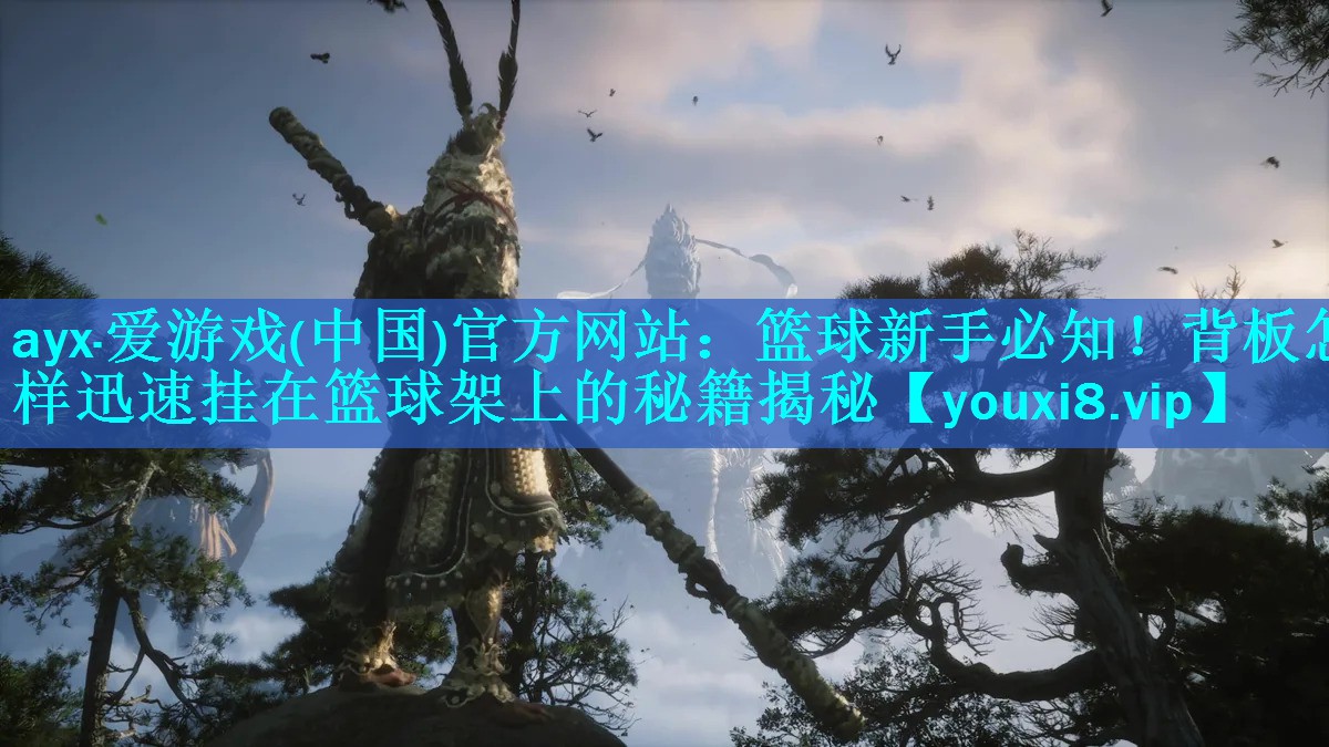 ayx·爱游戏(中国)官方网站：篮球新手必知！背板怎样迅速挂在篮球架上的秘籍揭秘