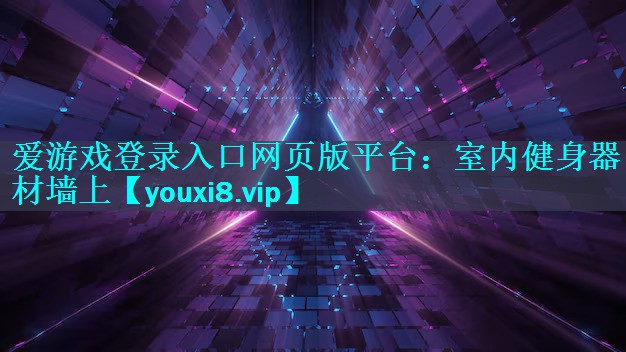 爱游戏登录入口网页版平台：室内健身器材墙上
