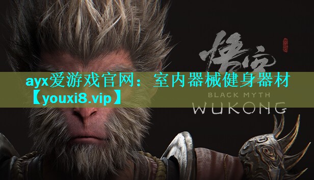ayx爱游戏官网：室内器械健身器材