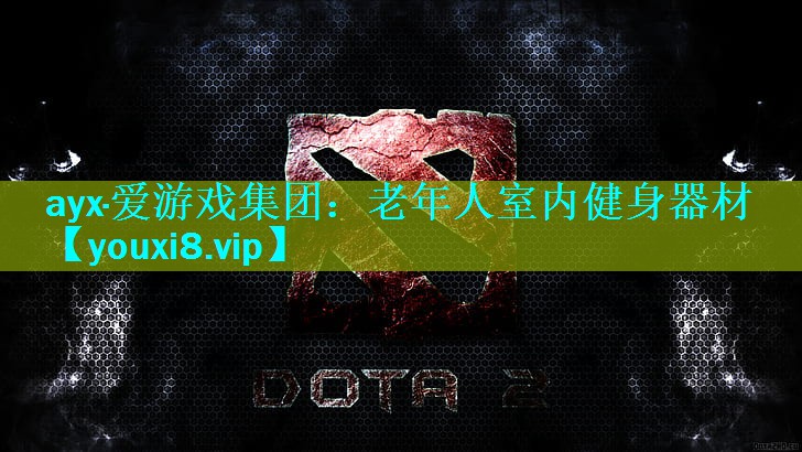 ayx·爱游戏集团：老年人室内健身器材