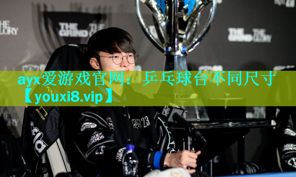 乒乓球台不同尺寸
